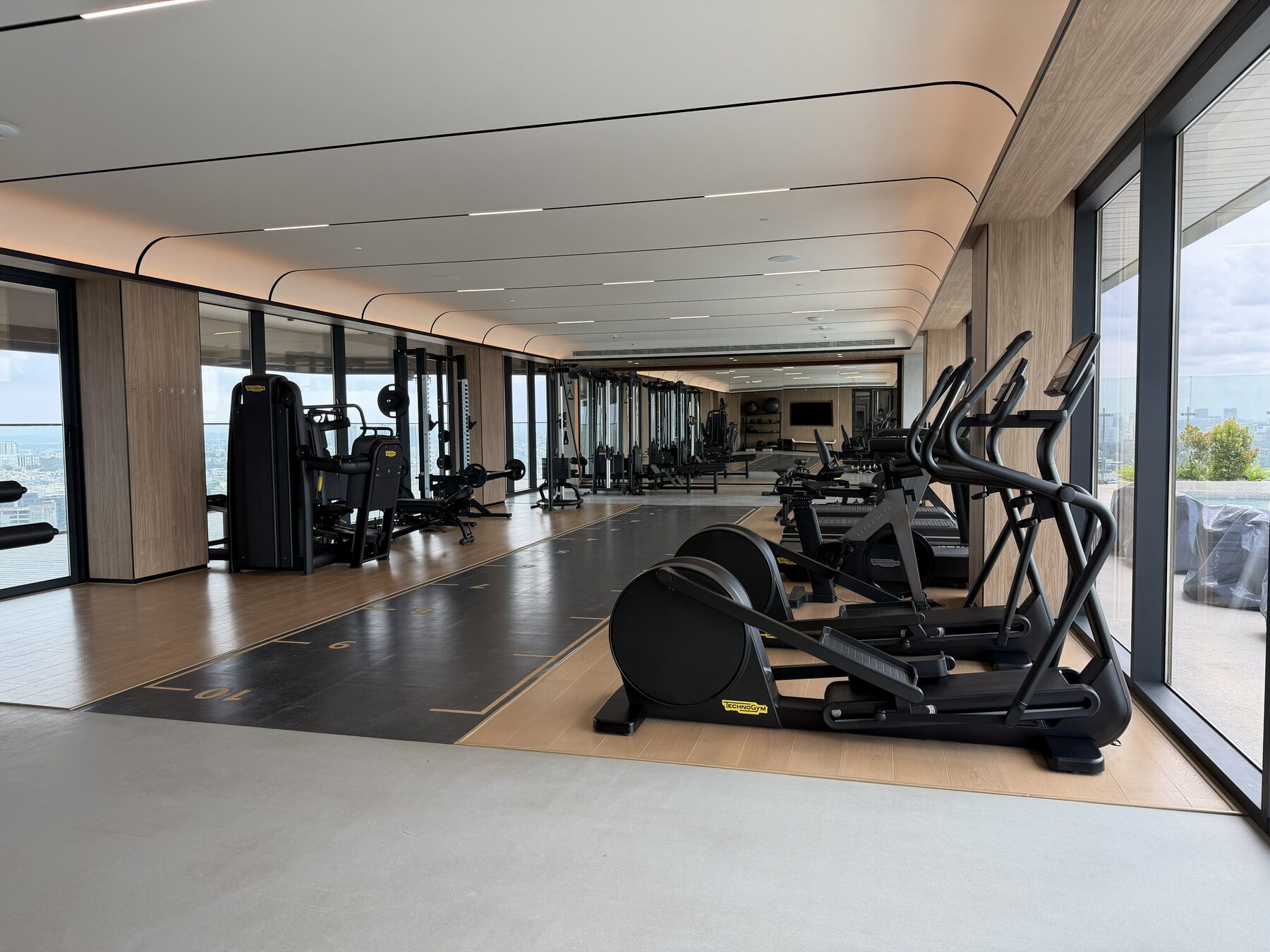 The Gymnasium